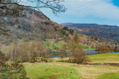 landscape 2