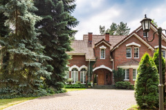 driveway and trees